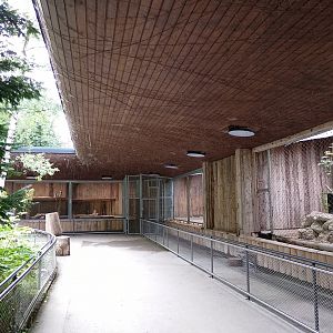 Tiger and lynx... "indoor" enclosures?