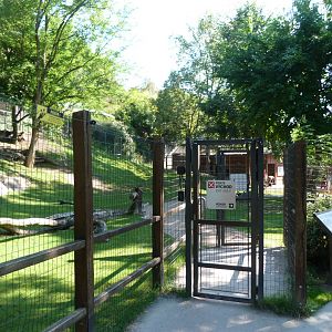 Tasmanian eastern gray kangaroo and Tasmanian red-necked wallaby exhibit -Zoo Praha (2025)