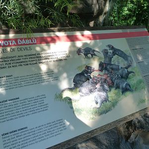 Tasmanian devil sign -Zoo Praha (2025)