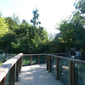 Tasmanian devil and wombat viewing broadwalk -Zoo Praha (2025)