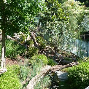 Tasmanian devil exhibit -Zoo Praha (2025)