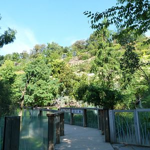 Tasmanian devil and wombat viewing broadwalk -Zoo Praha (2025)