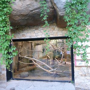Indoors housing for the australian wetlands aviary -Zoo Praha (2025)