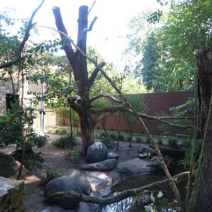 Australian wetlands aviary -Zoo Praha (2025)