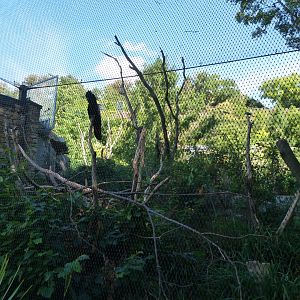 Australian bush aviary -Zoo Praha (2025)