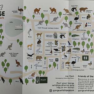 Gorge Wildlife Park map, September 2025