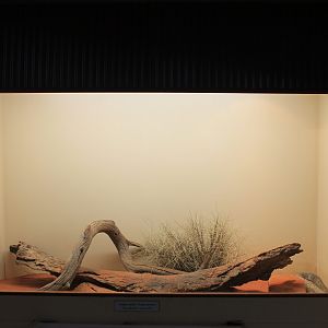 Example of terrariums