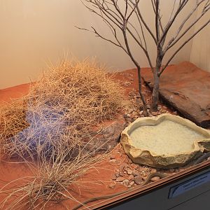 Example of terrariums