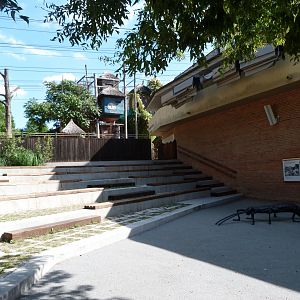 Amphitheater -Zoo Praha (2025)
