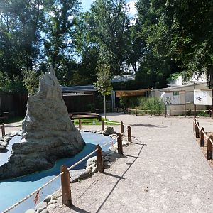 Lord Howe Island stick insect zone -Zoo Praha (2025)