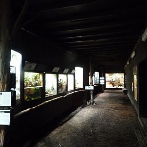 Reptile house view -Zoo Praha (2025)