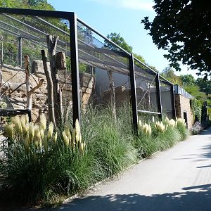 Outside view of "Rákos' House" -Zoo Praha (2025)