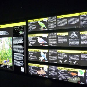 Jamaican exhibit signs -Zoo Praha (2025)