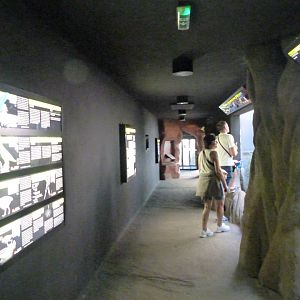 "Rakos' House" view -Zoo Praha (2025)