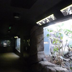 "Rakos' House" view -Zoo Praha (2025)