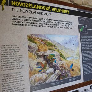 New Zealand highlands sign -Zoo Praha (2025)