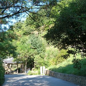View from the red panda exhibit thorwards Rakos' House -Zoo Praha (2025)