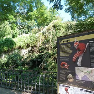 Himalayan red panda exhibit -Zoo Praha (2025)