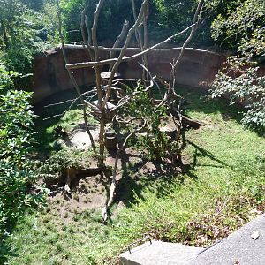 North American porcupine exhibit -Zoo Praha (2025)