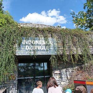 "Indonesian Jungle" pavillion entrance -Zoo Praha (2025)