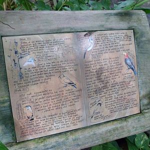 Free-roaming birds of the Indonesian Jungle -Zoo Praha (2025)