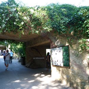 Sumatran orangutan exhibit viewing area -Zoo Praha (2025)