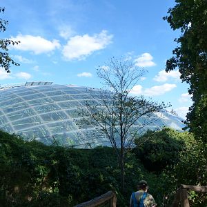 "Indonesian Jungle" view from outside -Zoo Praha (2025)