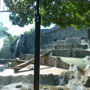 Polar bear exhibit -Zoo Praha (2025)