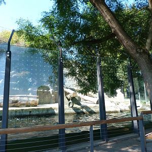 Polar bear exhibit -Zoo Praha (2025)