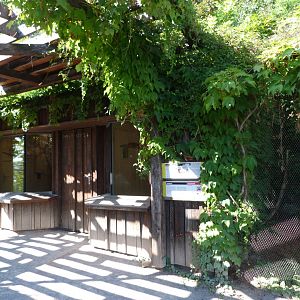 Part of the fig parrot and lorikeet exhibit complex -Zoo Praha (2025)