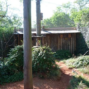 Scaly-breasted lorikeet, Rainbow lorikeet and Crested pigeon exhibit -Zoo Praha (2025)