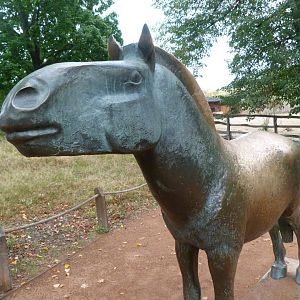 Przewalski's horse statue -Zoo Praha (2025)