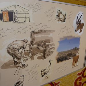 Przewalski's horse conservation yurt illustration -Zoo Praha (2025)