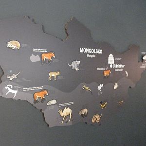 Map of Mongolia -Zoo Praha (2025)
