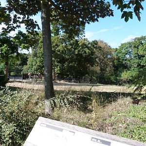 Eastern kiang exhibit -Zoo Praha (2025)