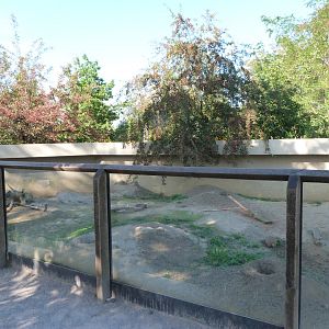 Black-tailed prairie dog exhibit -Zoo Praha (2025)