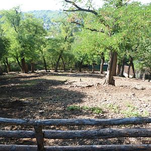White-lipped deer exhibit -Zoo Praha (2025)
