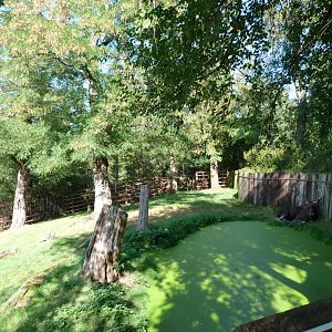 European elk exhibit -Zoo Praha (2025)