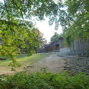 Javan rusa and Chinese muntjac exhibit -Zoo Praha (2025)