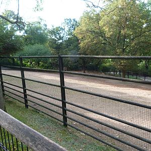 Kulan exhibit -Zoo Praha (2025)