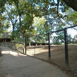 Red kangaroo exhibit viewing area -Zoo Praha (2025)