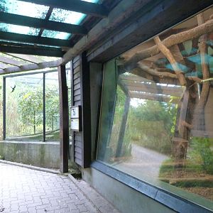 South American mammal house -Zoo Praha (2025)