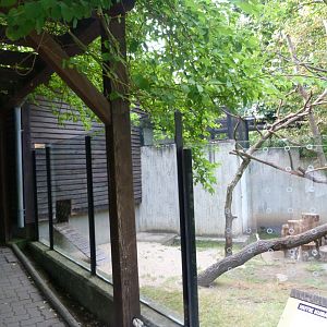 Desmarest's hutia exhibit -Zoo Praha (2025)