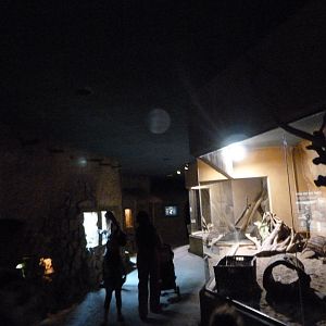 View inside of "Africa Up Close" -Zoo Praha (2025)