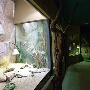 View inside of "Africa Up Close" -Zoo Praha (2025)