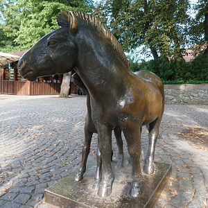 Przewalski's horse statue -Zoo Praha (2025)