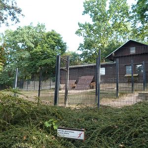 Nile lechwe exhibit -Zoo Praha (2025)