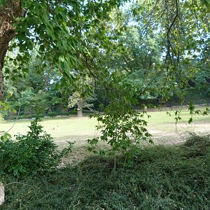 Nile lechwe exhibit -Zoo Praha (2025)