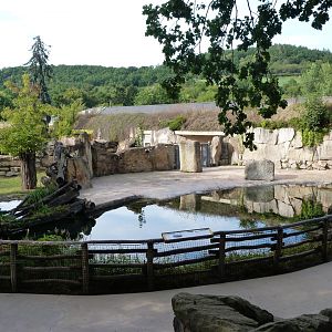 Common hippopotamus exhibit -Zoo Praha (2025)