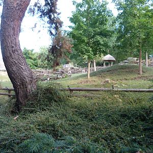 Mhorr gazelle and Kirk's dik-dik exhibit -Zoo Praha (2025)